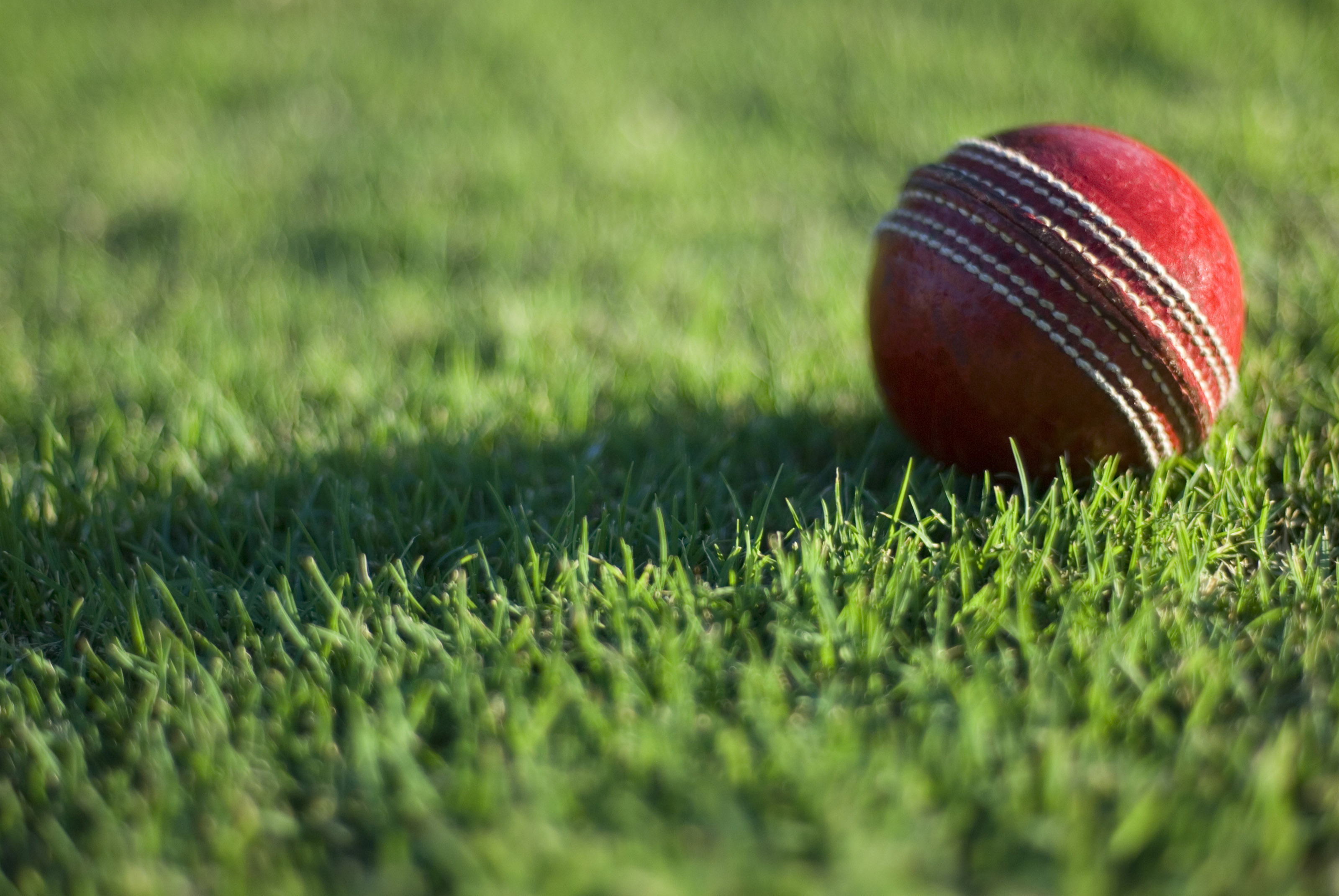 Cricket Wallpaper