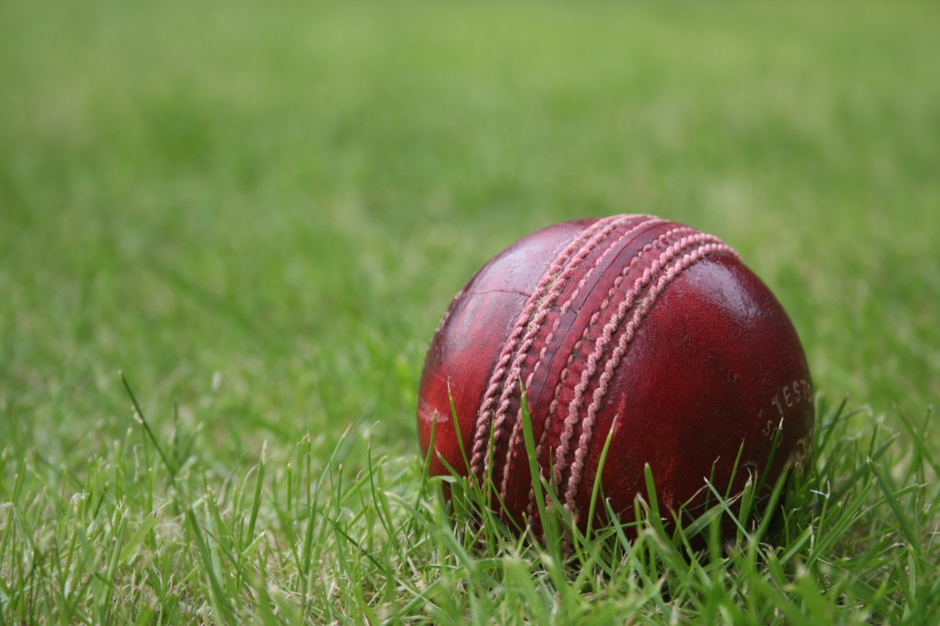 Cricket Wallpaper