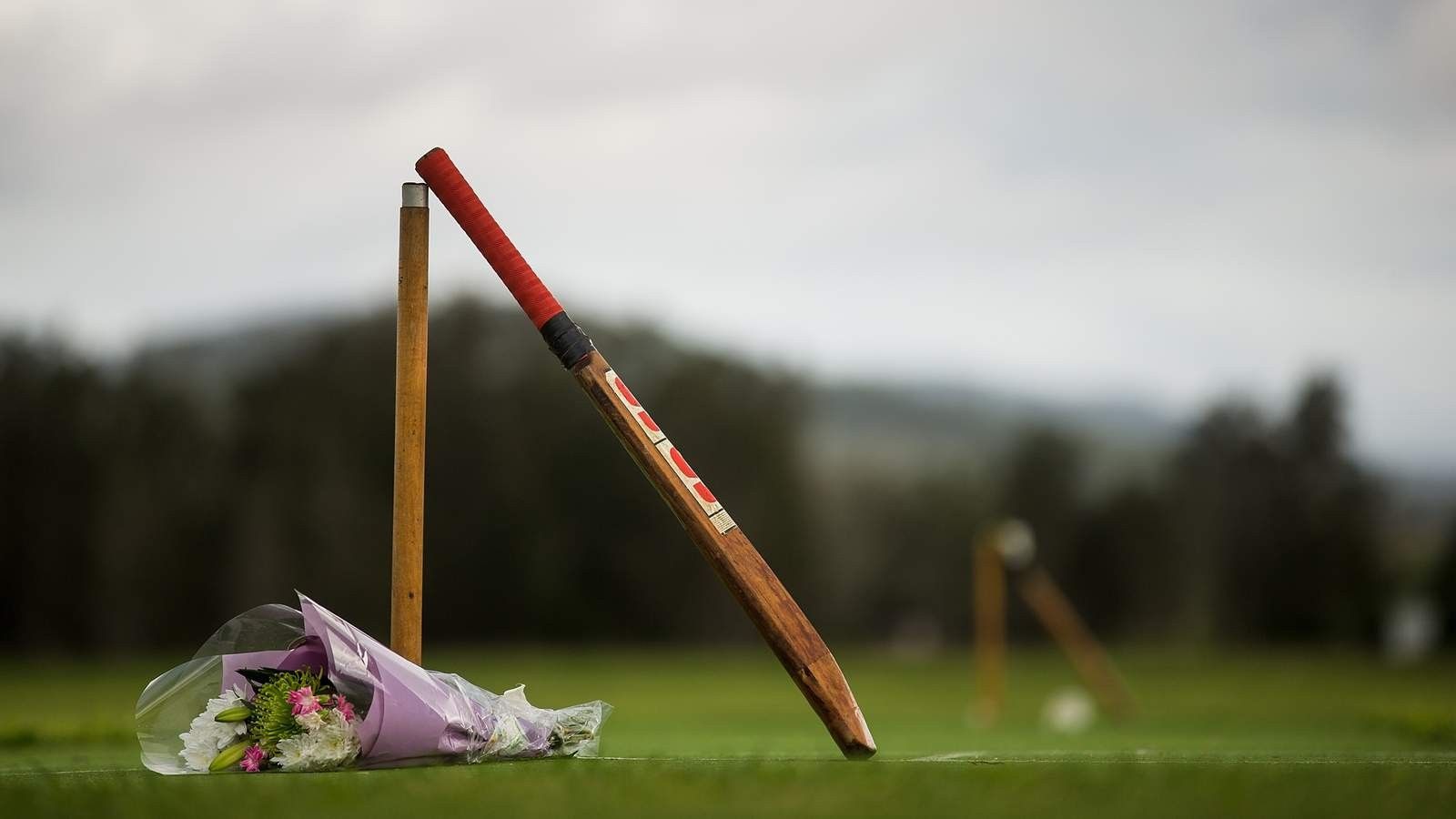 Cricket Wallpaper