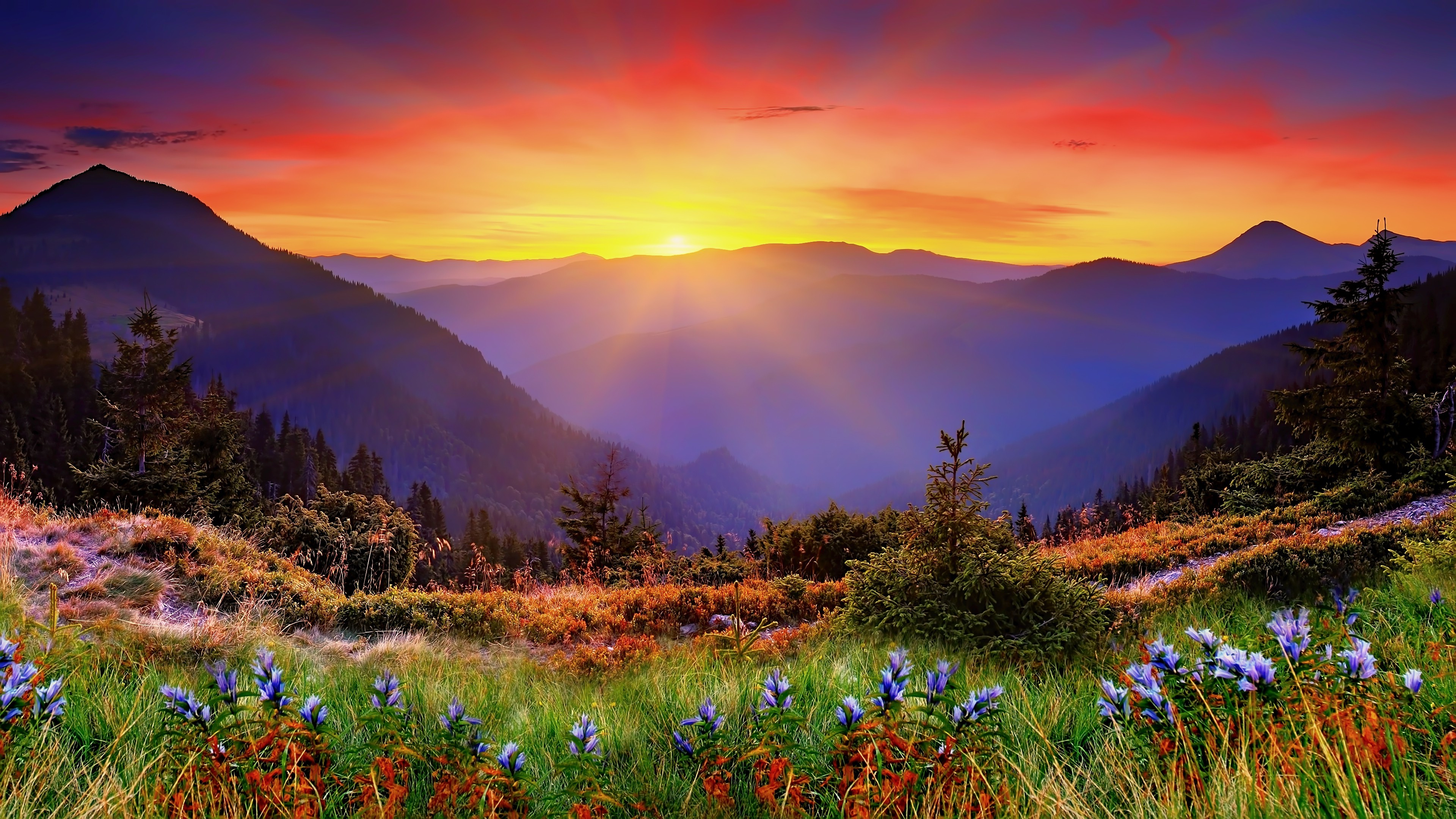New Zealand Wallpaper