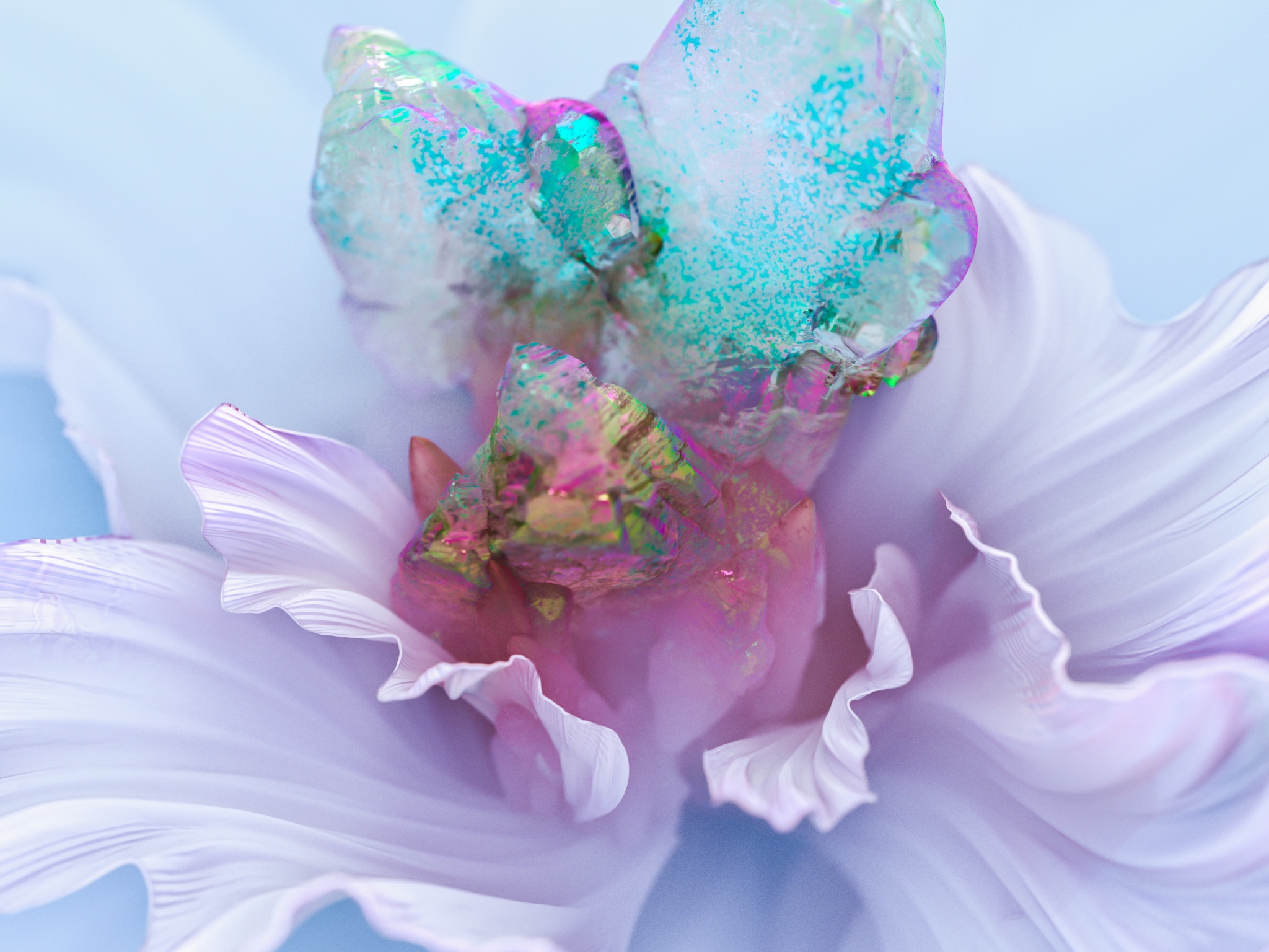 White Flower Wallpaper