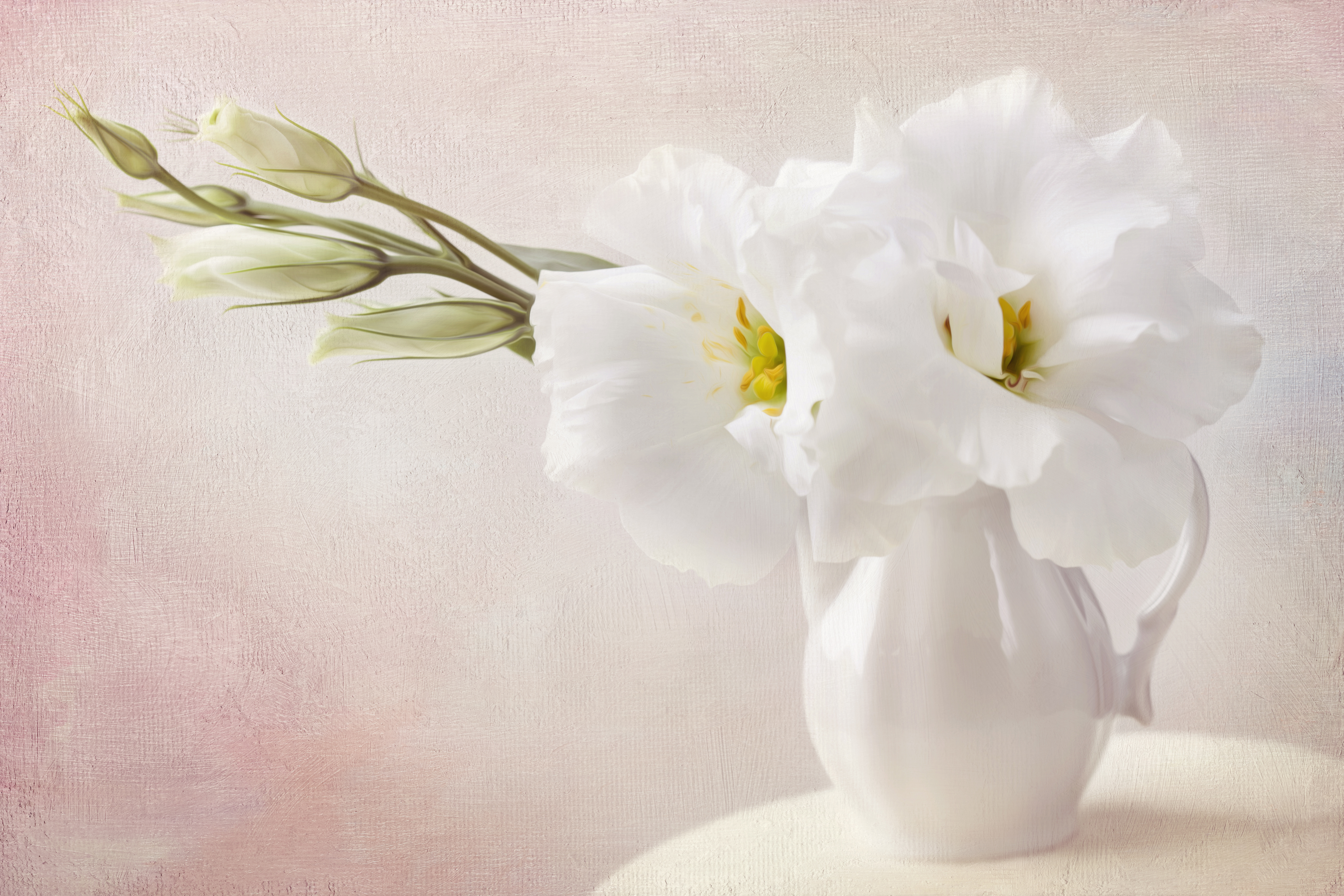 White Flower Wallpaper
