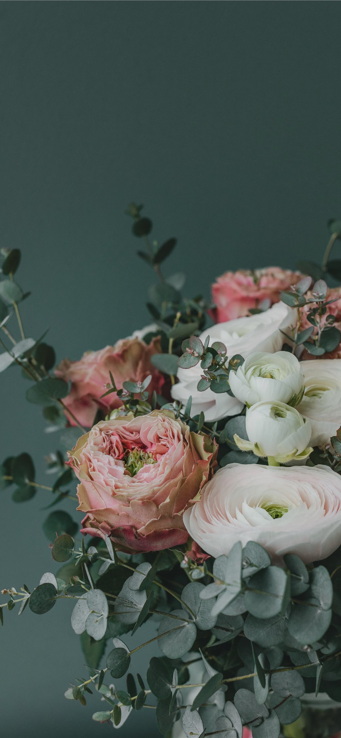 White Flower Wallpaper