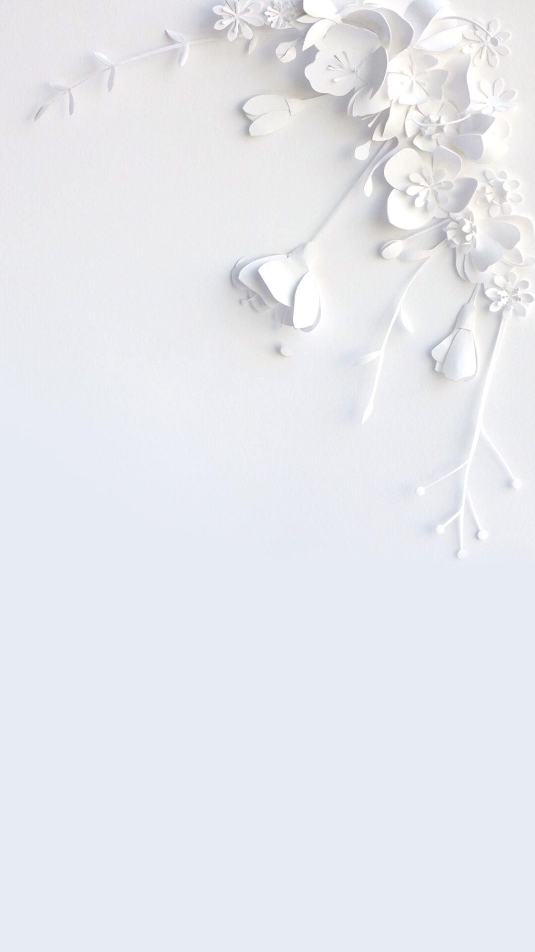 White Flower Wallpaper