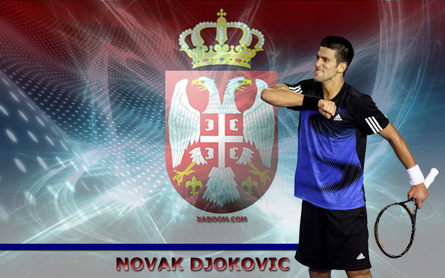 Novak Djokovic Wallpaper