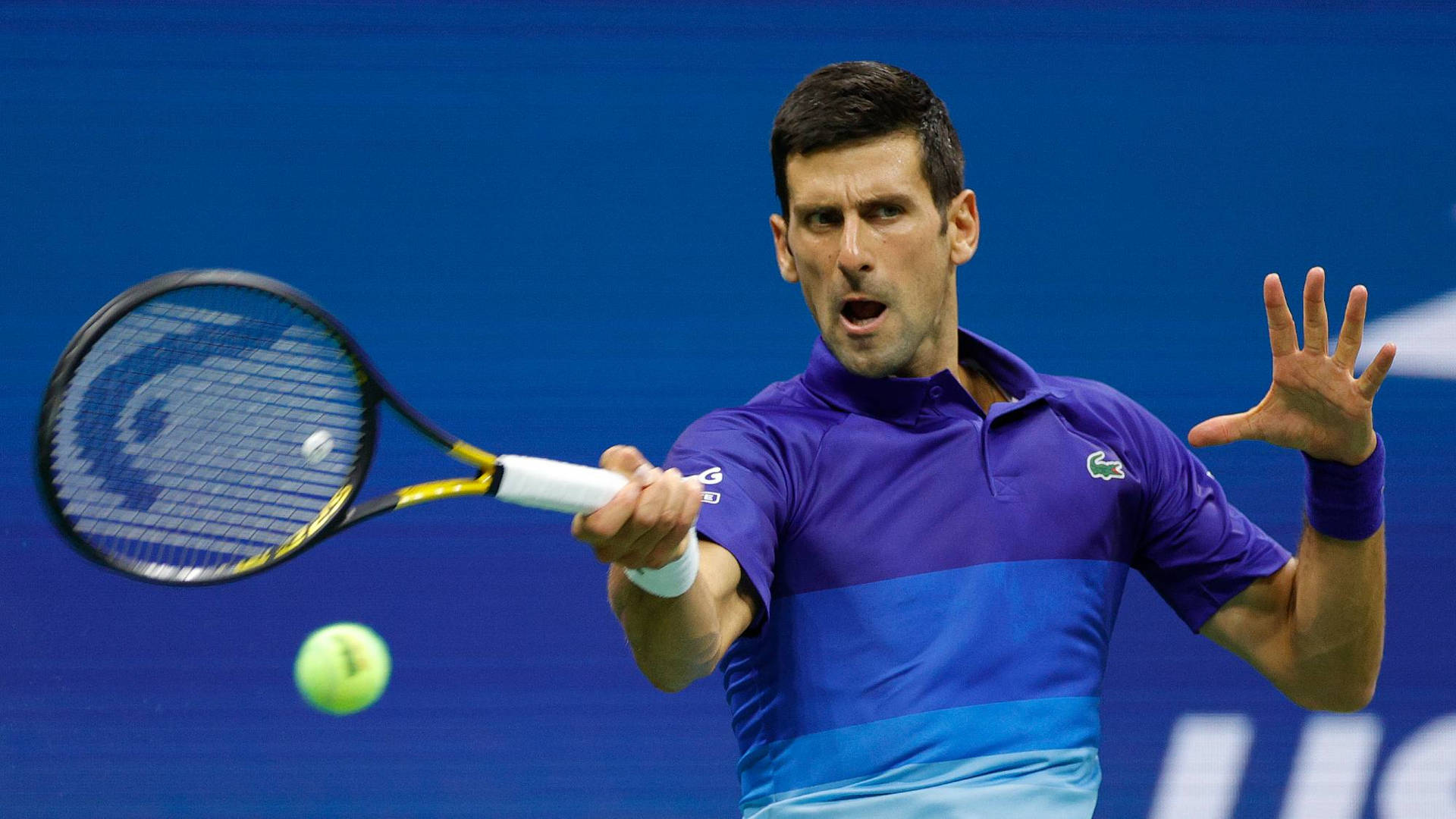 Novak Djokovic Wallpaper