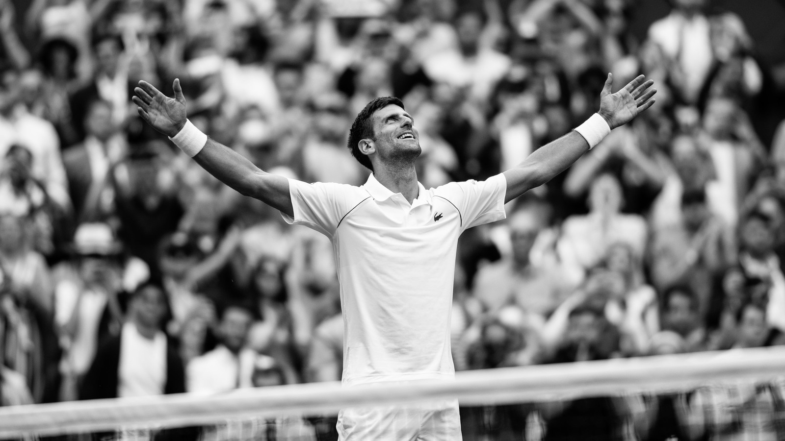 Novak Djokovic Wallpaper