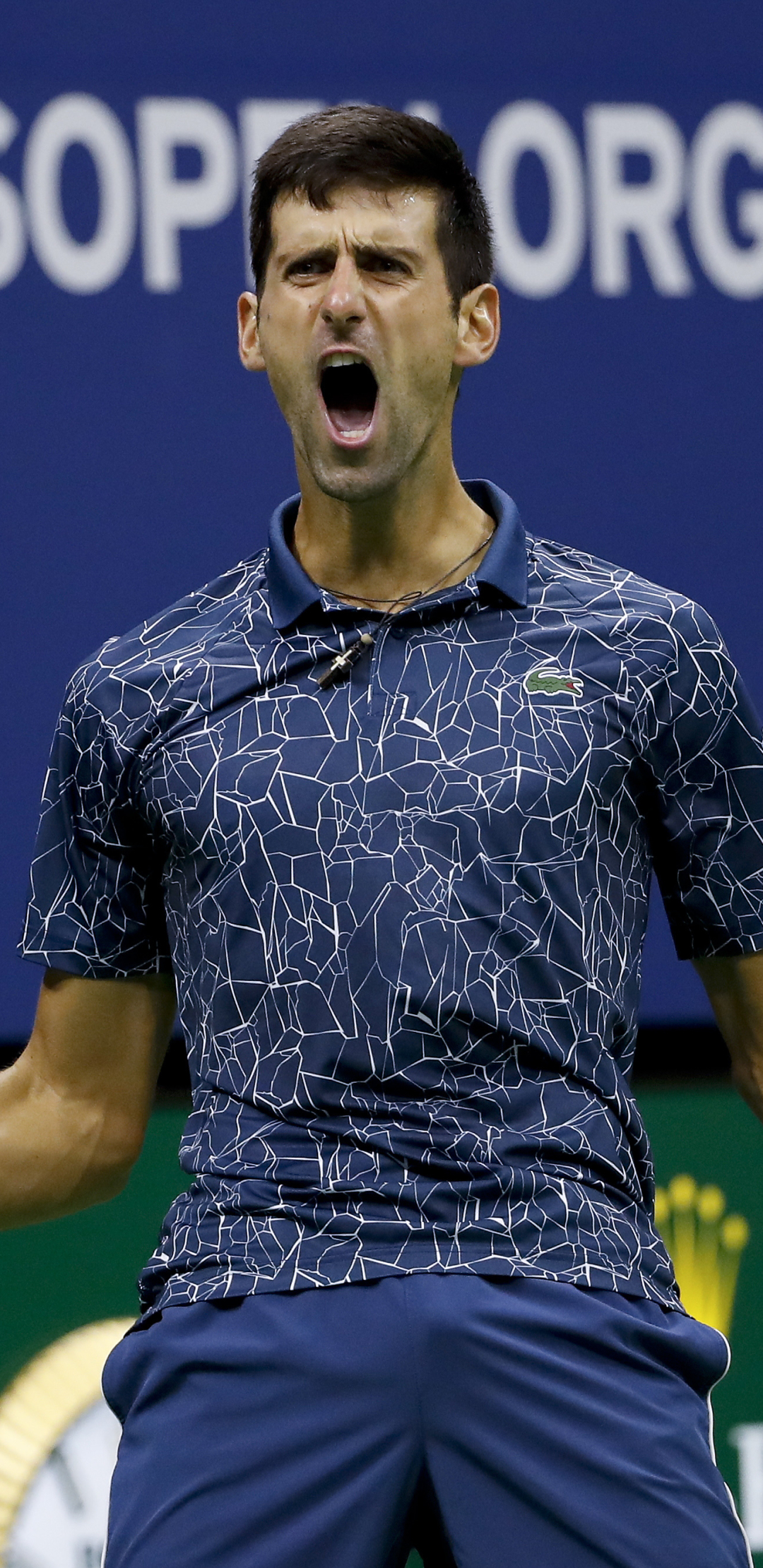 Novak Djokovic Wallpaper
