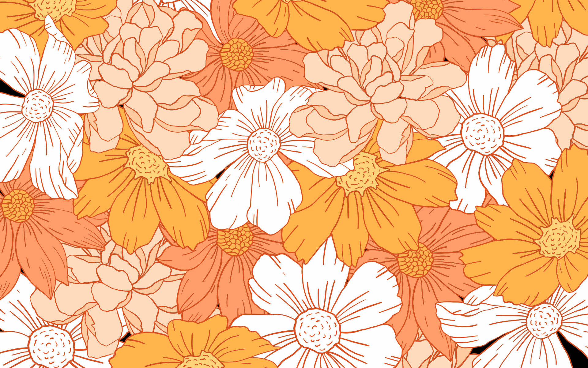 Orange Wallpapers