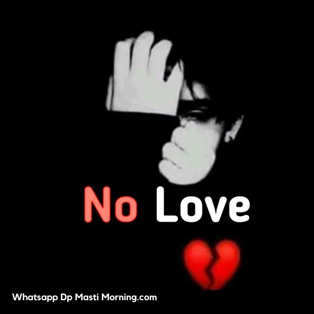 No Love Wallpaper