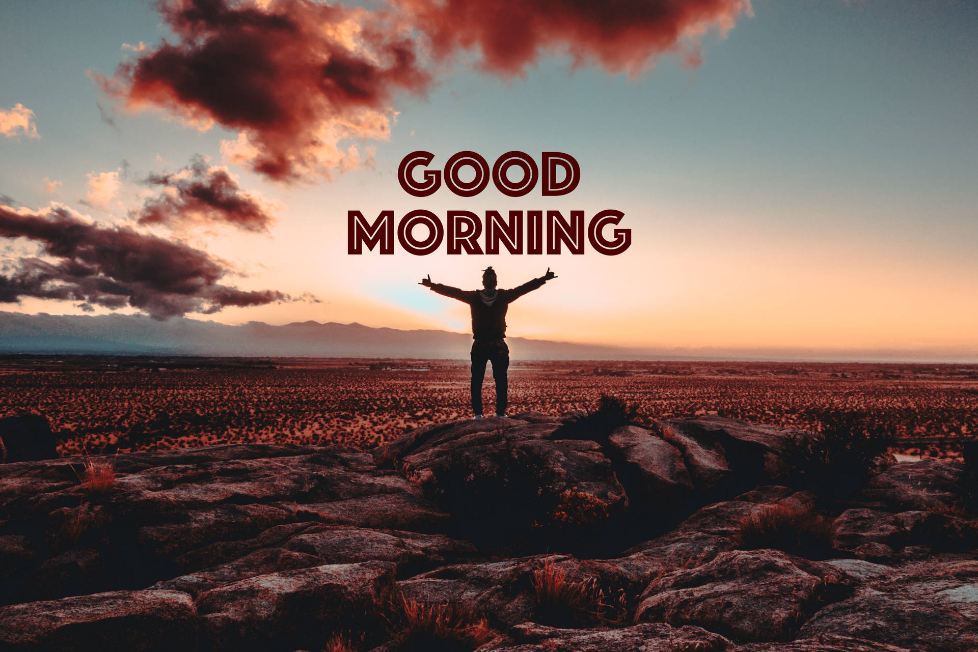 Good Morning Hd Wallpaper